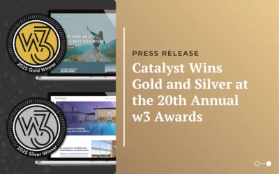 Catalyst Wins Gold and Silver at the 20th Annual w3 Awards